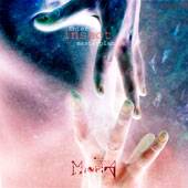 Enter Insect Masterplan